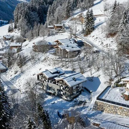Schmittenblick 2